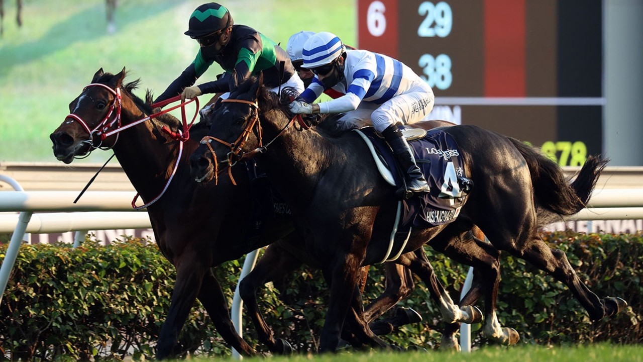 Review - Gr.1 Longines Hong Kong Cup Image 1